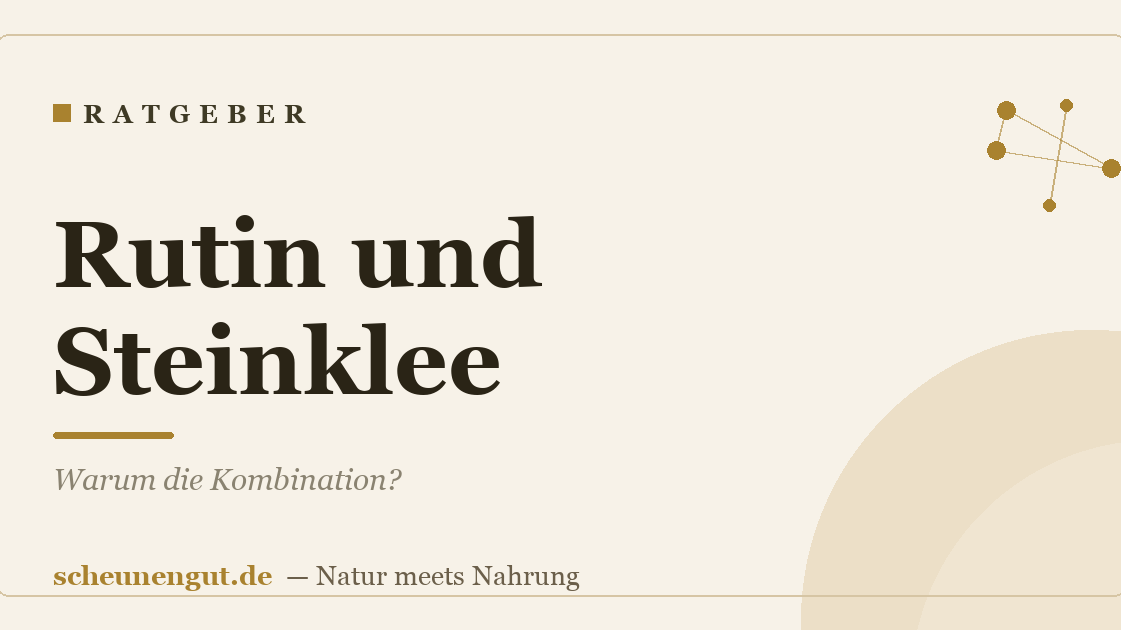 Rutin und Steinklee: Warum die Kombination?