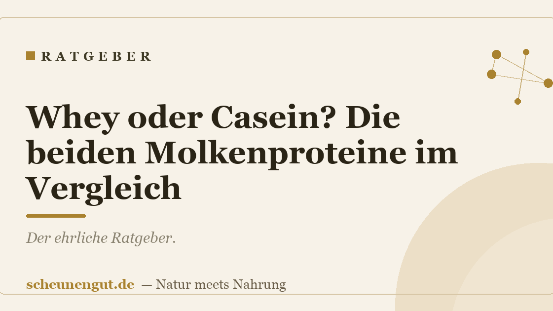 Whey oder Casein? Die beiden Molkenproteine im Vergleich