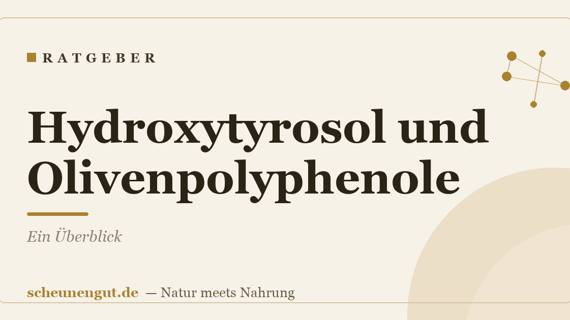 Hydroxytyrosol und Olivenpolyphenole: Ein Überblick