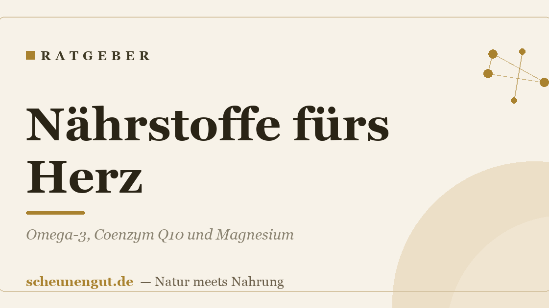 Nährstoffe fürs Herz: Omega-3, Coenzym Q10 und Magnesium