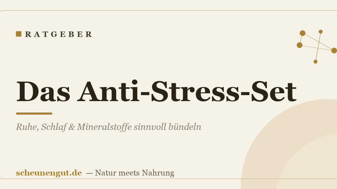 Das Anti-Stress-Set: Ruhe, Schlaf & Mineralstoffe sinnvoll bündeln