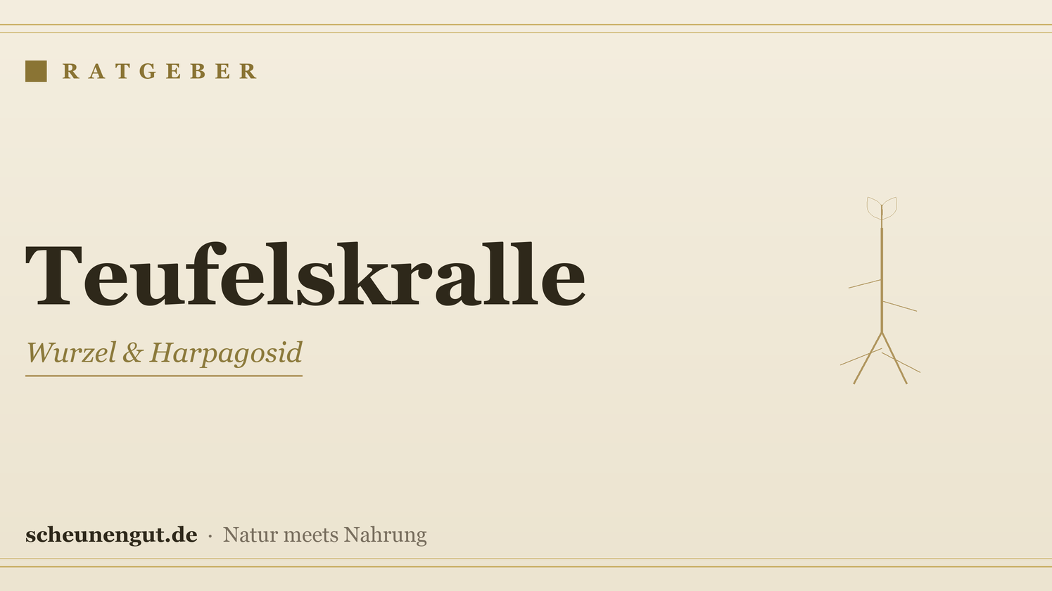 Teufelskralle: Die Wurzel neutral erklärt – Ratgeber von Scheunengut