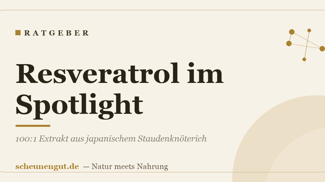 Resveratrol im Spotlight: 100:1 Extrakt aus japanischem Staudenknöterich