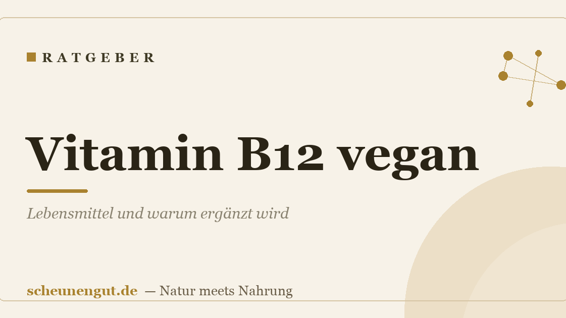 Vitamin B12 vegan: Lebensmittel und warum ergänzt wird