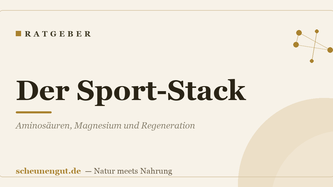 Der Sport-Stack: Aminosäuren, Magnesium und Regeneration