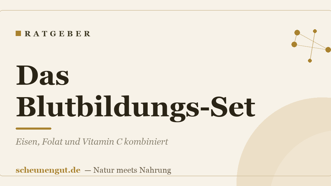 Das Blutbildungs-Set: Eisen, Folat und Vitamin C kombiniert