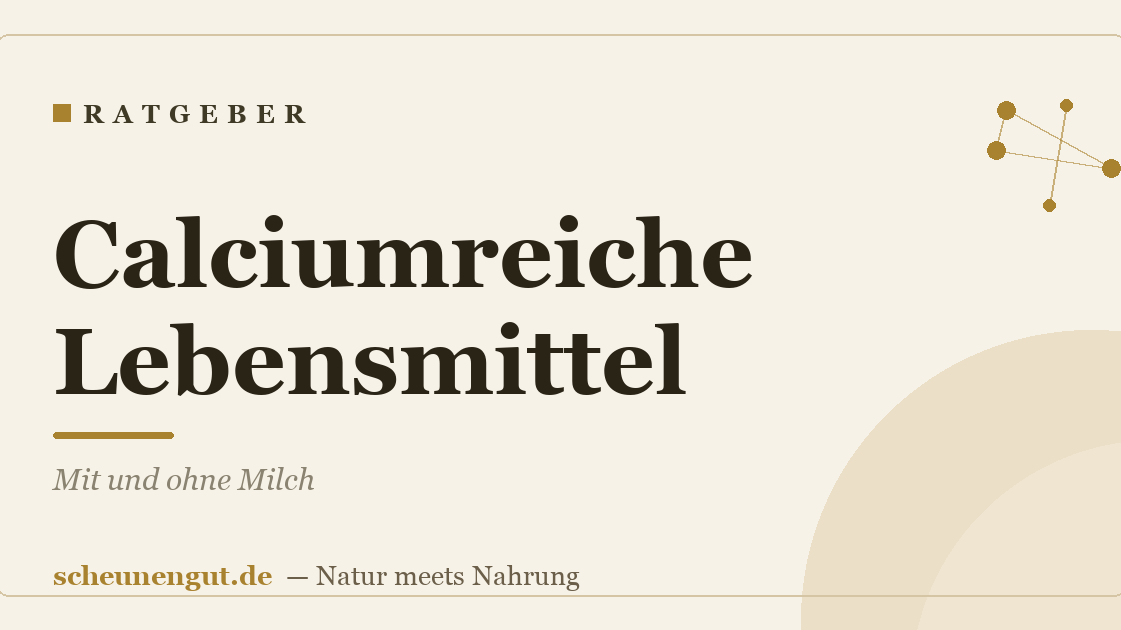Calciumreiche Lebensmittel: Mit und ohne Milch