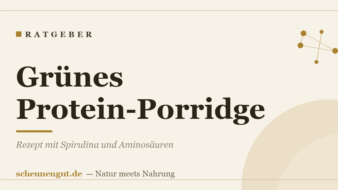 Grünes Protein-Porridge: Rezept mit Spirulina und Aminosäuren