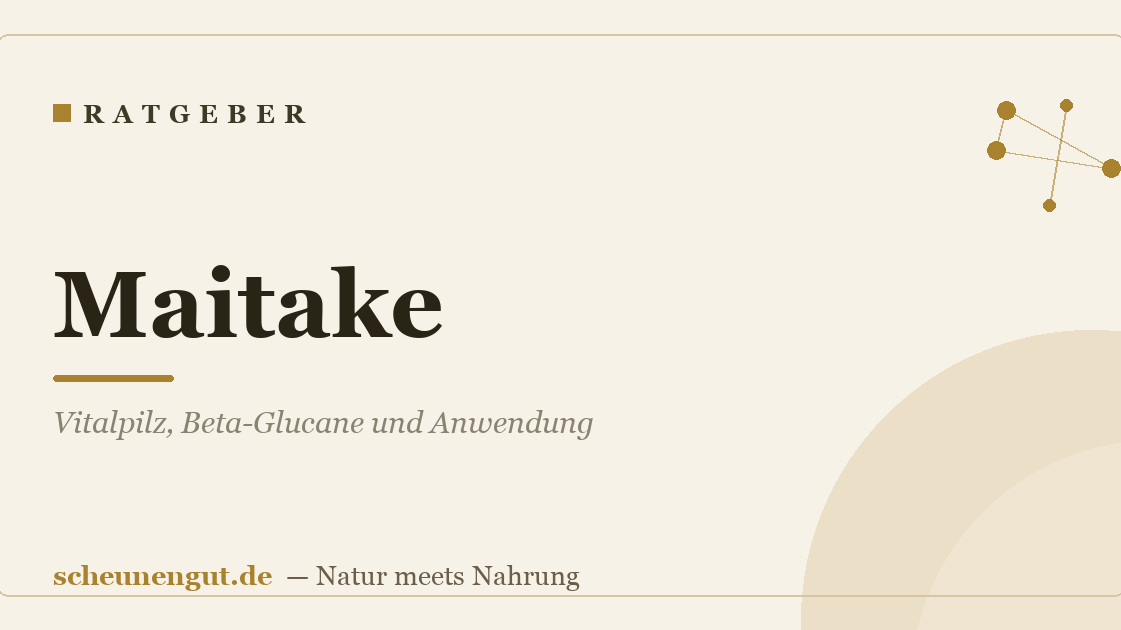 Maitake: Vitalpilz, Beta-Glucane und Anwendung