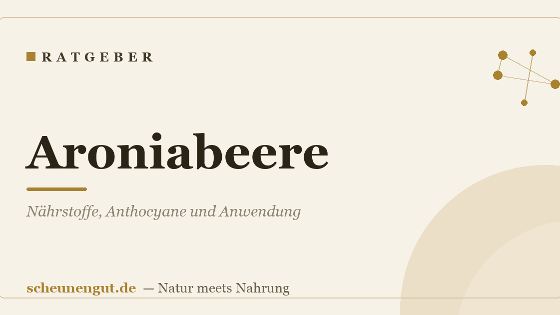 Aroniabeere: Nährstoffe, Anthocyane und Anwendung