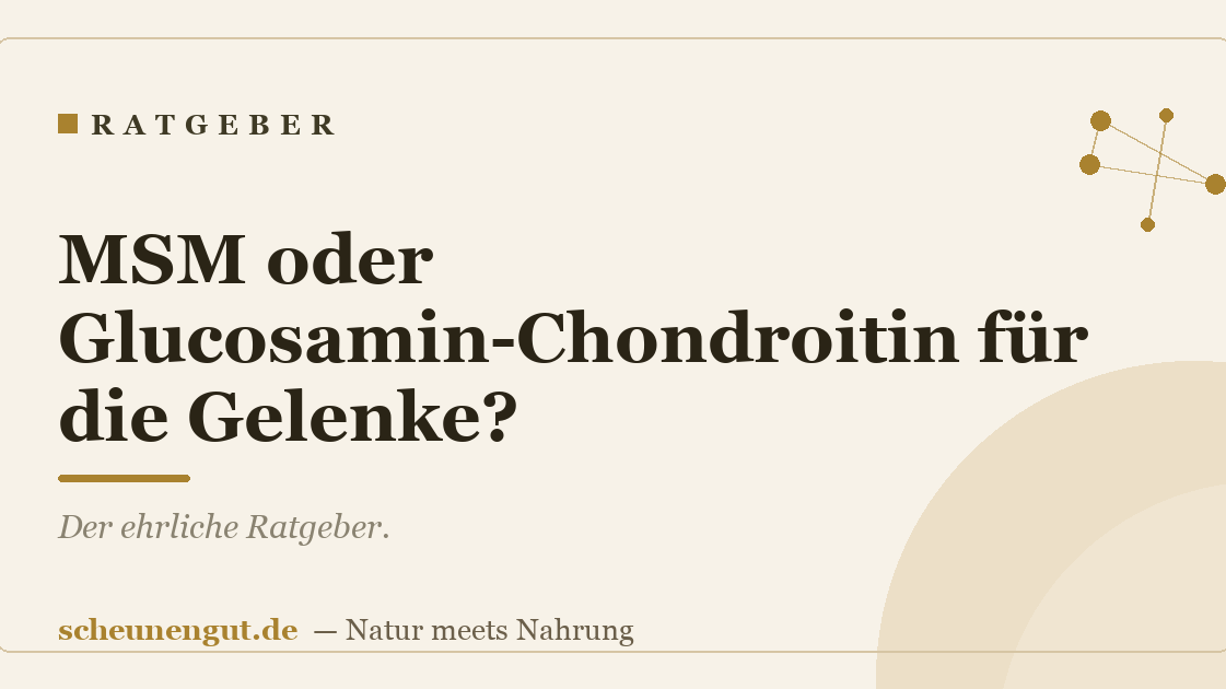 MSM oder Glucosamin-Chondroitin für die Gelenke?