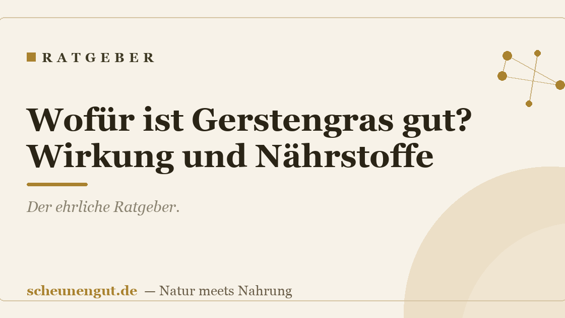 Wofür ist Gerstengras gut? Wirkung und Nährstoffe