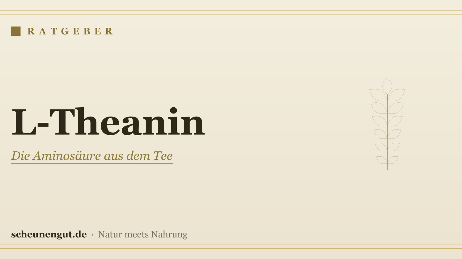 L-Theanin: Herkunft, Formen & Einnahme – Ratgeber von Scheunengut