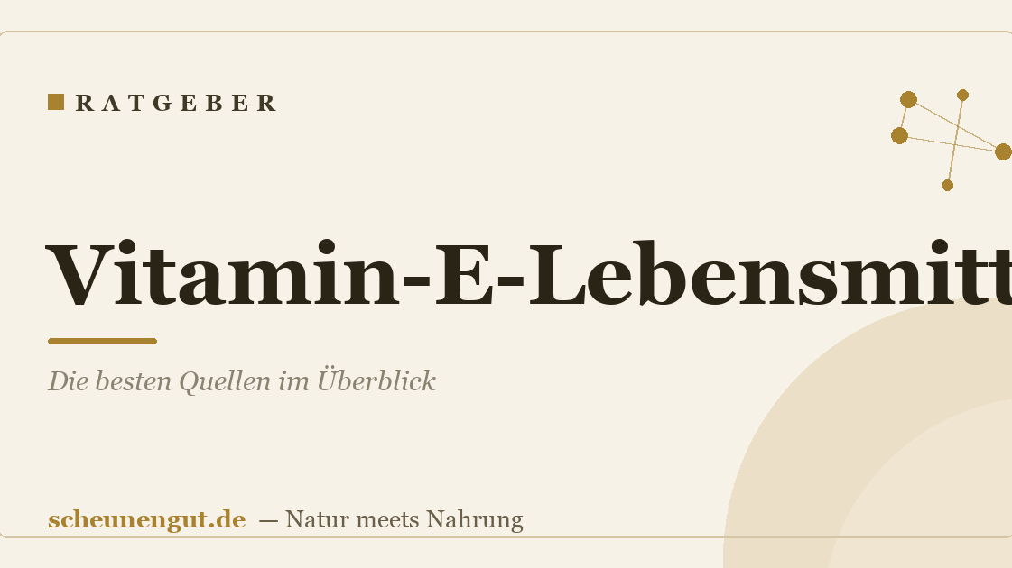 Vitamin-E-Lebensmittel: Die besten Quellen im Überblick