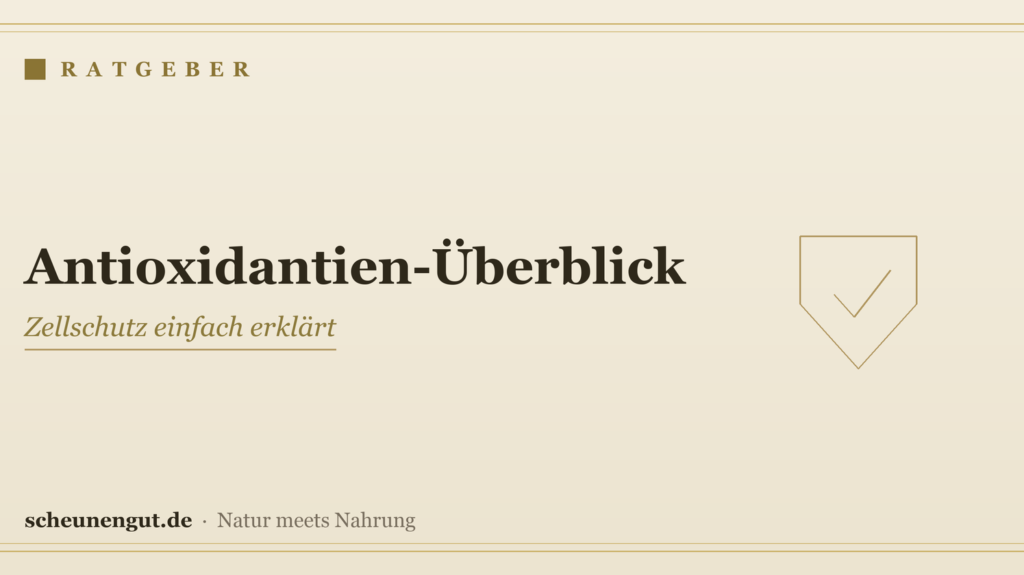Antioxidantien: der große Überblick – Ratgeber von Scheunengut