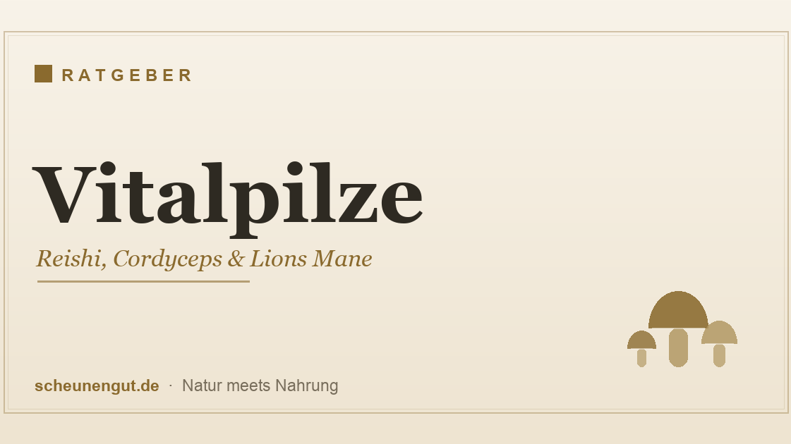 Vitalpilze – Reishi, Cordyceps und Lions Mane im Überblick