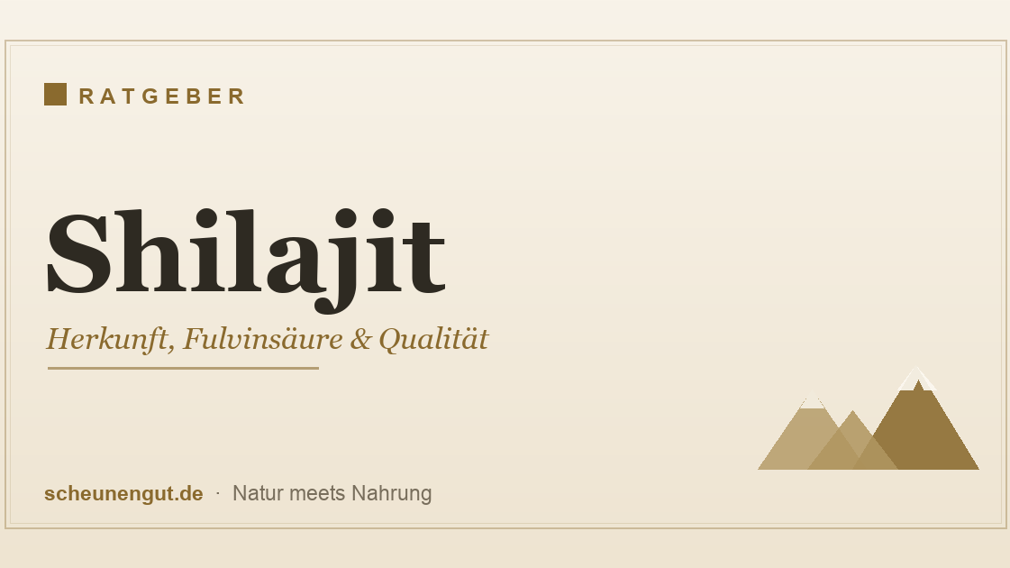 Shilajit (Mumijo) – Himalaya-Mineralienharz, Herkunft und Qualität