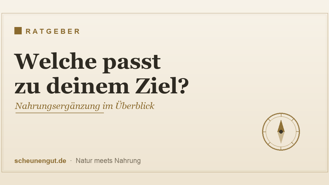 Welche Nahrungsergänzung passt zu deinem Ziel – der große Überblick