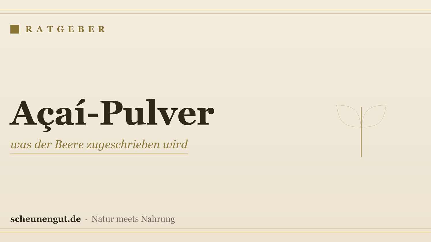 Açaí-Pulver: was der Beere zugeschrieben wird