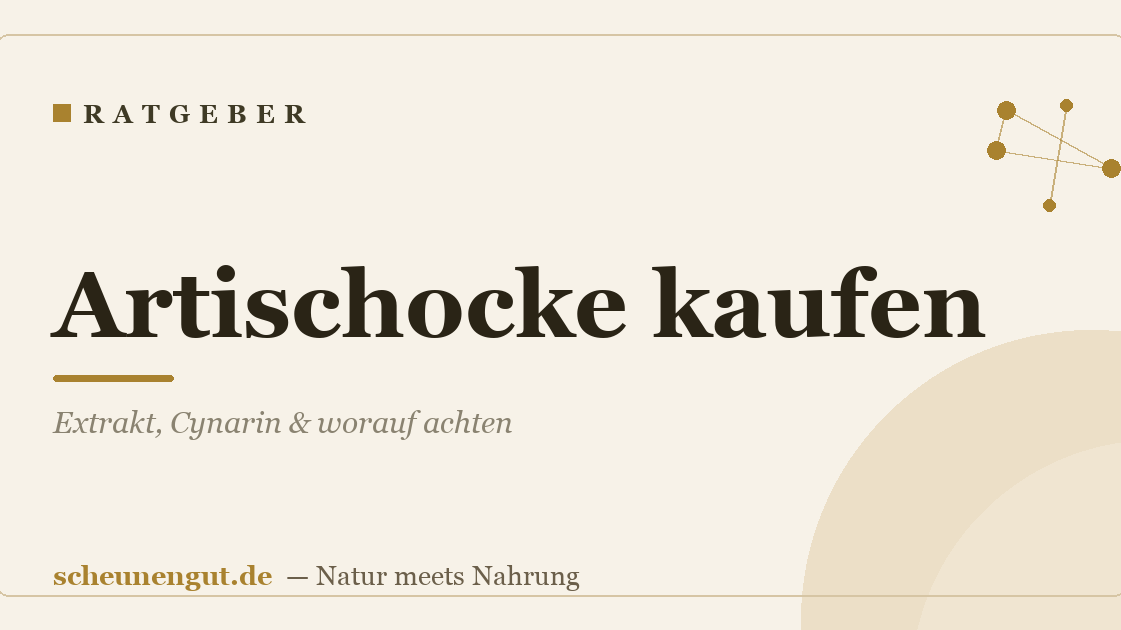 Artischocke kaufen: Extrakt, Cynarin & worauf achten