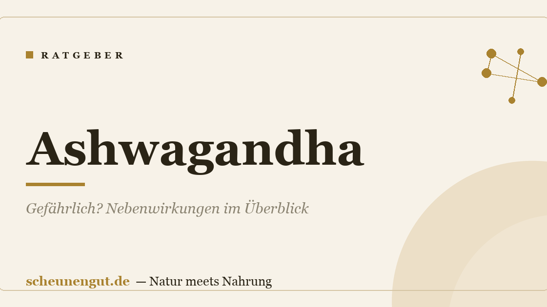 Ashwagandha: Gefährlich? Nebenwirkungen im Überblick
