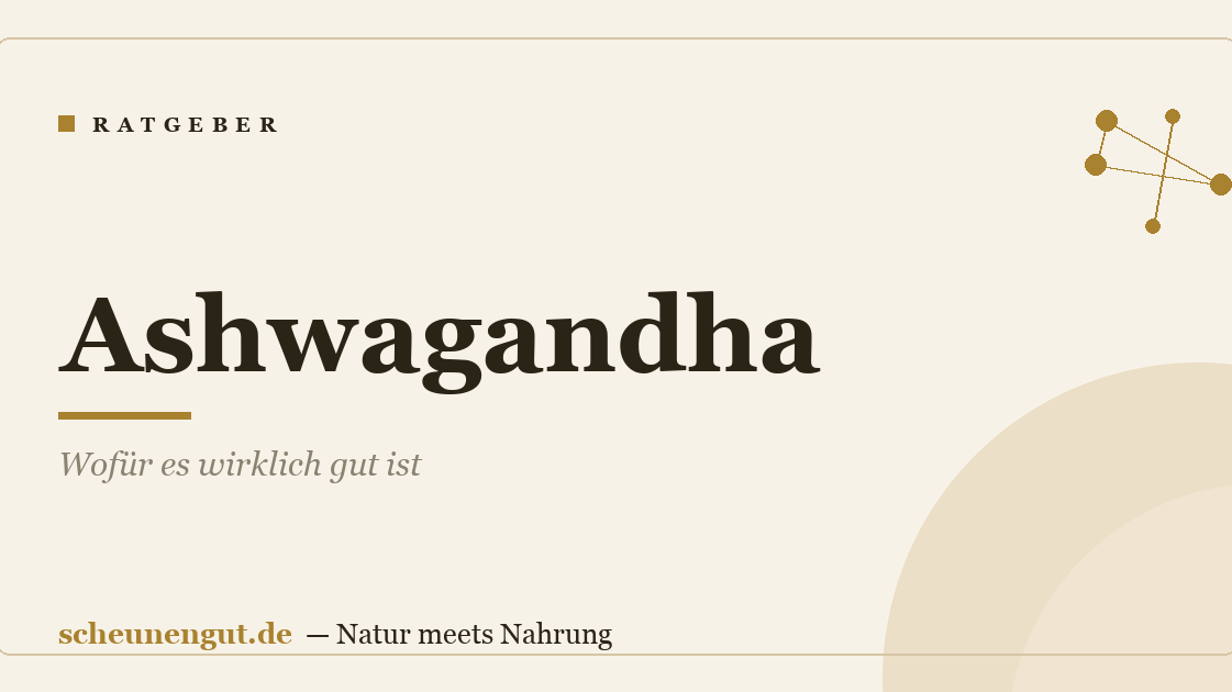 Ashwagandha: Wofür es wirklich gut ist