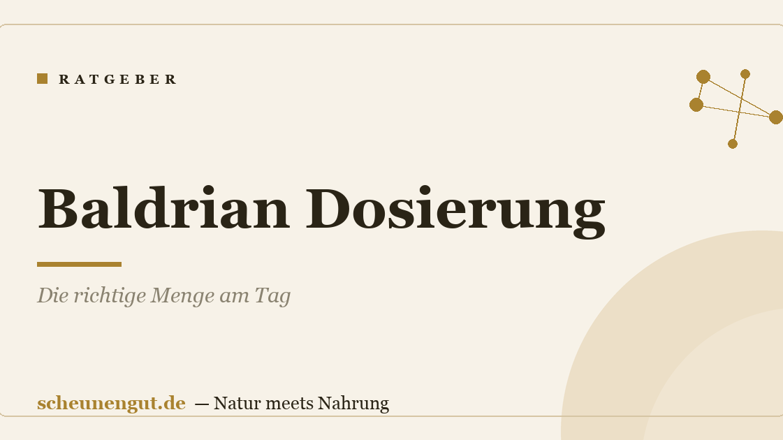Baldrian Dosierung: Die richtige Menge am Tag