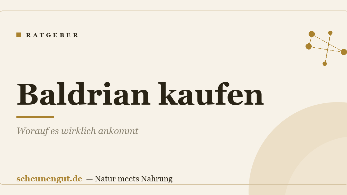 Baldrian kaufen: Worauf es wirklich ankommt