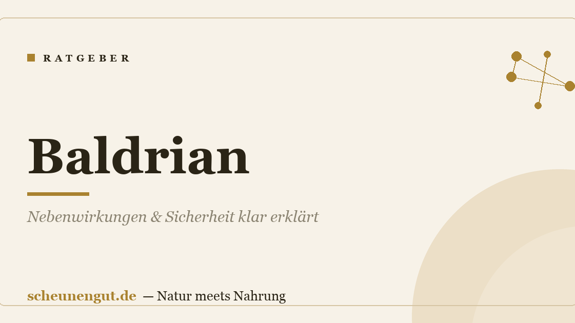 Baldrian: Nebenwirkungen & Sicherheit klar erklärt
