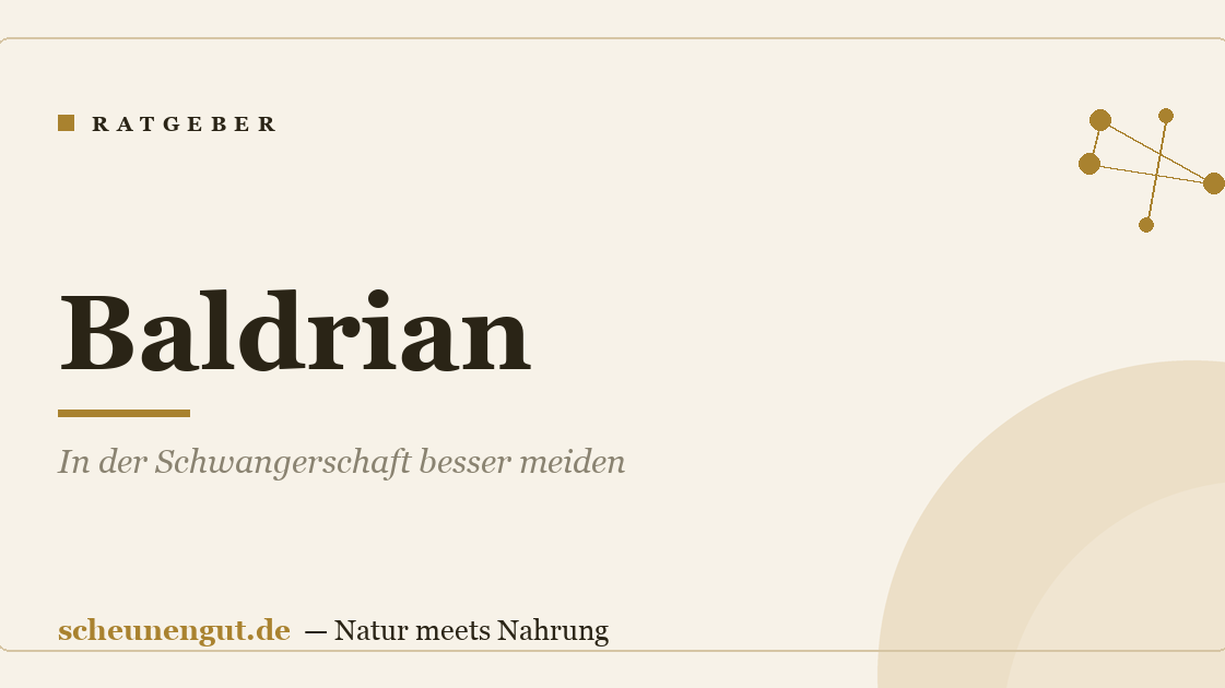 Baldrian: In der Schwangerschaft besser meiden