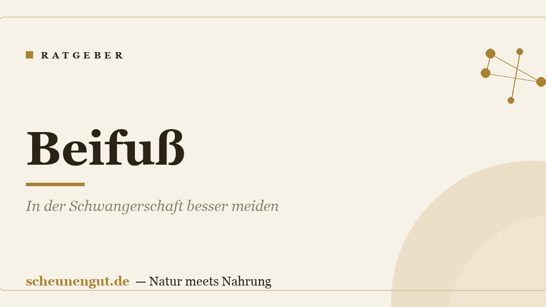 Beifuß: In der Schwangerschaft besser meiden