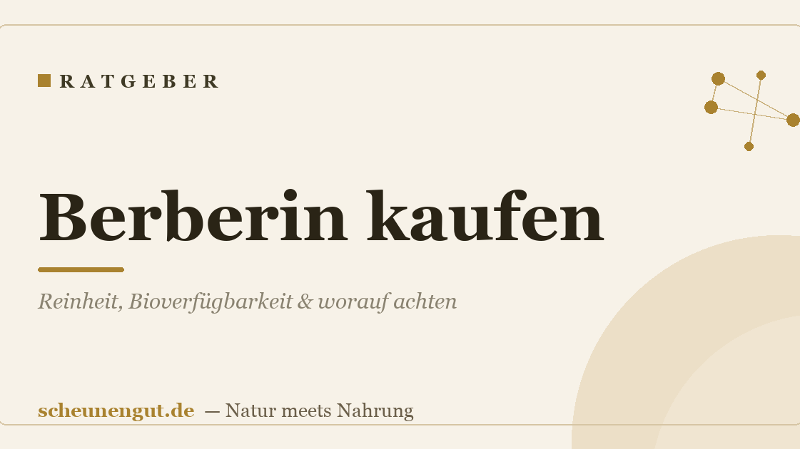 Berberin kaufen: Reinheit, Bioverfügbarkeit & worauf achten