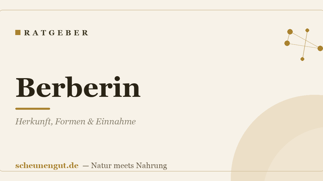 Berberin: Herkunft, Formen & Einnahme