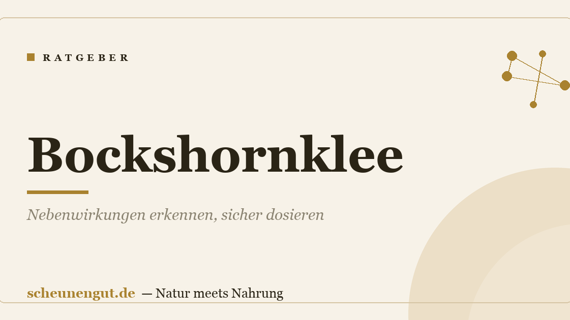 Bockshornklee: Nebenwirkungen erkennen, sicher dosieren