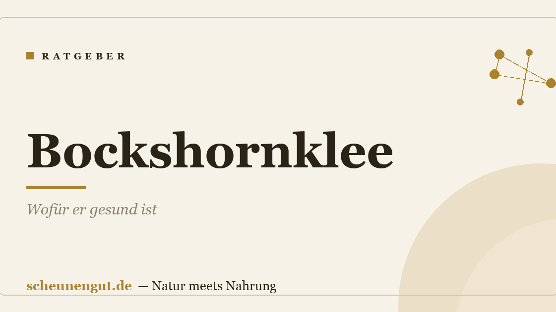 Bockshornklee: Wofür er gesund ist