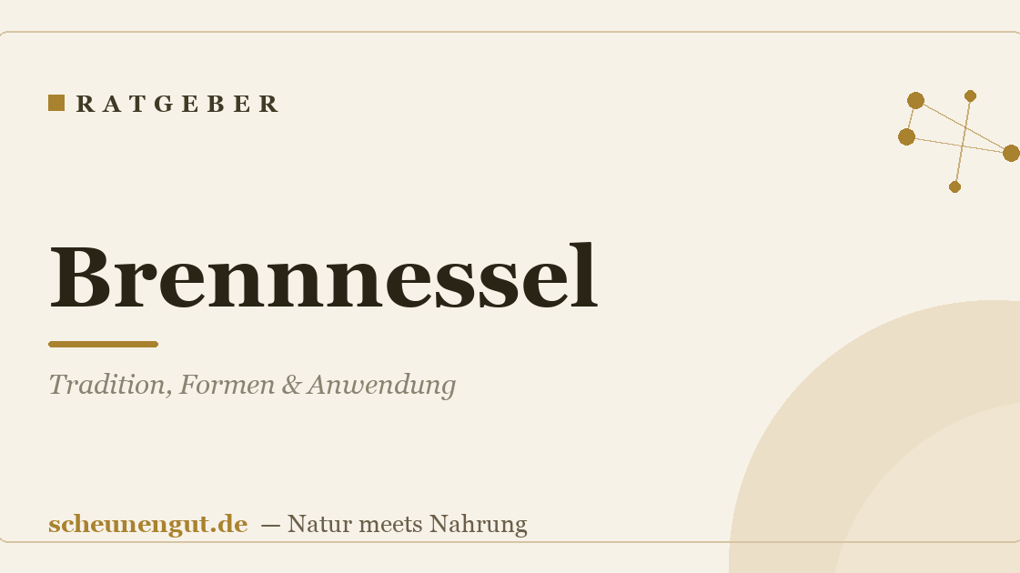 Brennnessel: Tradition, Formen & Anwendung