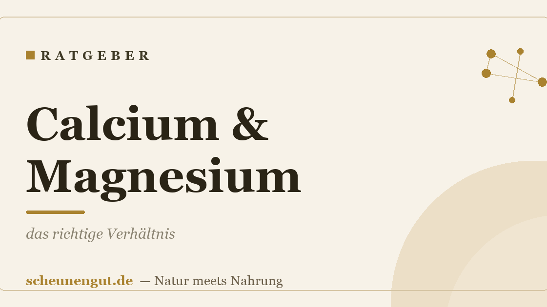 Calcium & Magnesium: das richtige Verhältnis