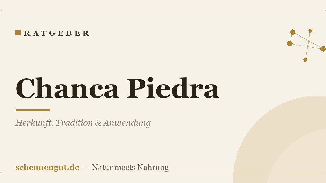 Chanca Piedra: Herkunft, Tradition & Anwendung