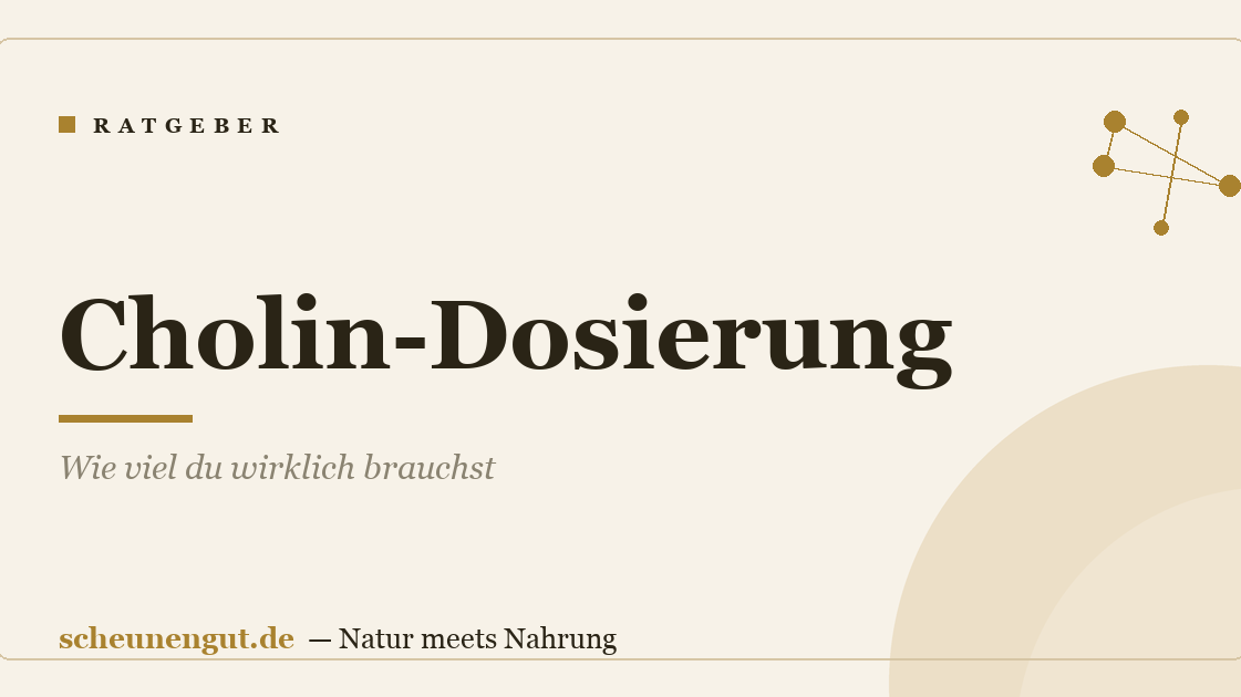 Cholin-Dosierung: Wie viel du wirklich brauchst
