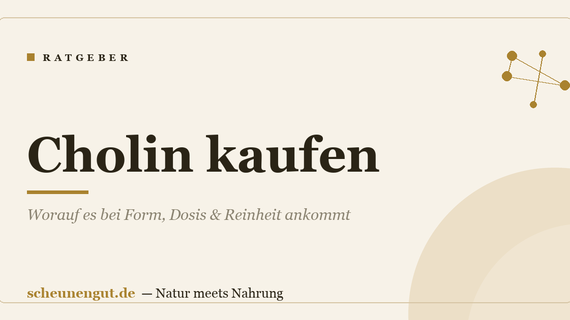 Cholin kaufen: Worauf es bei Form, Dosis & Reinheit ankommt