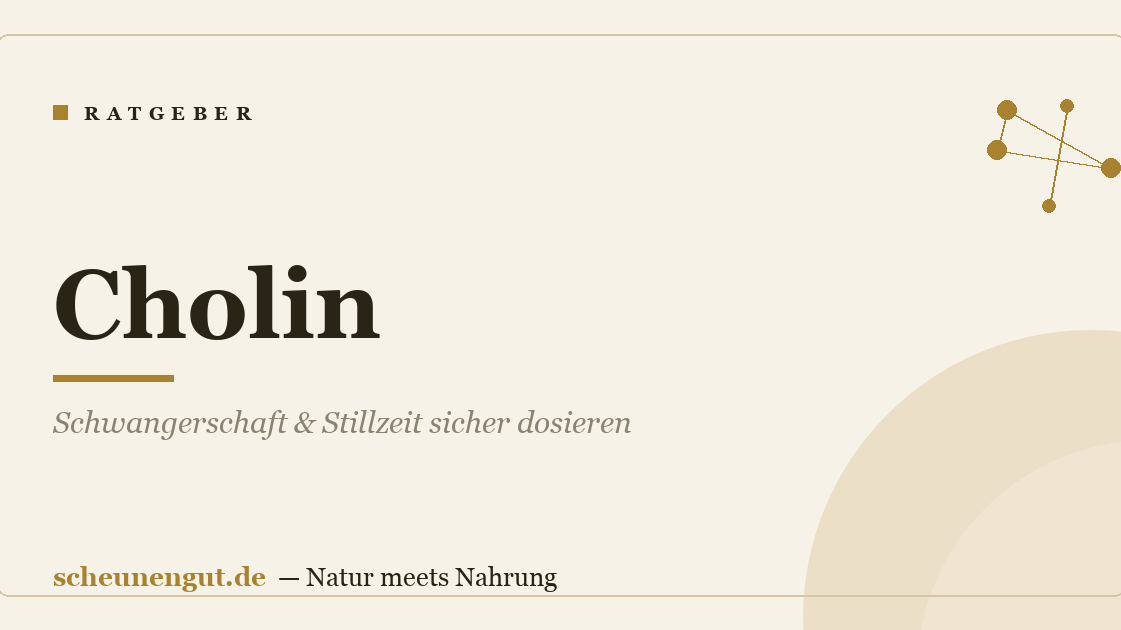 Cholin: Schwangerschaft & Stillzeit sicher dosieren