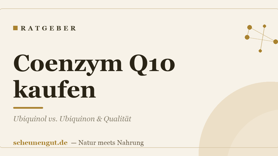 Coenzym Q10 kaufen: Ubiquinol vs. Ubiquinon & Qualität