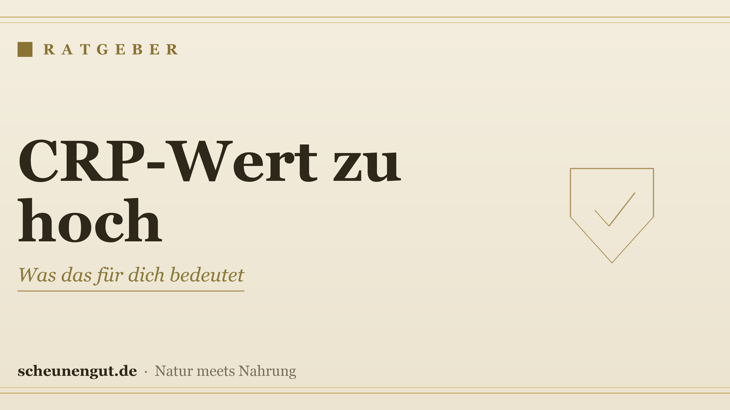 CRP-Wert zu hoch: Was das für dich bedeutet