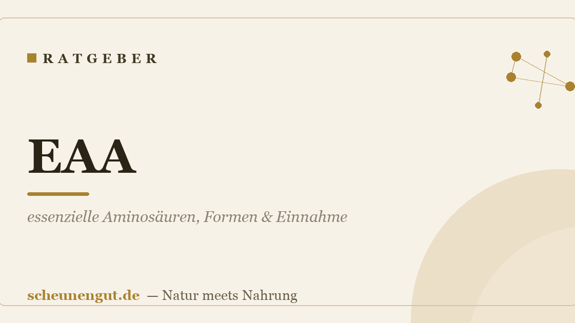 EAA: essenzielle Aminosäuren, Formen & Einnahme