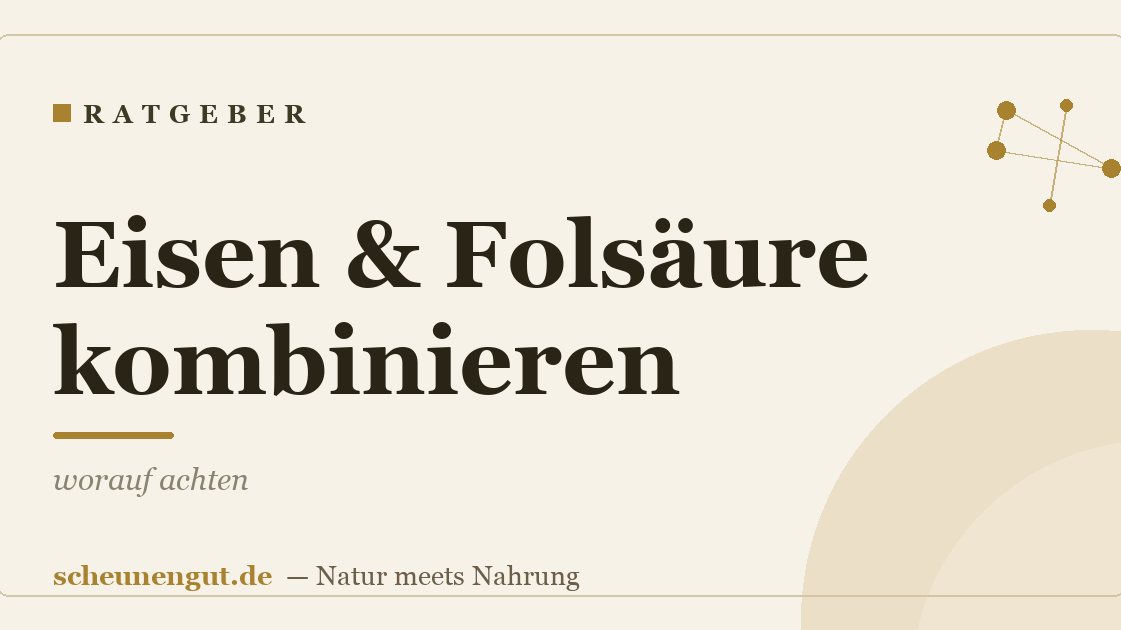 Eisen & Folsäure kombinieren: worauf achten