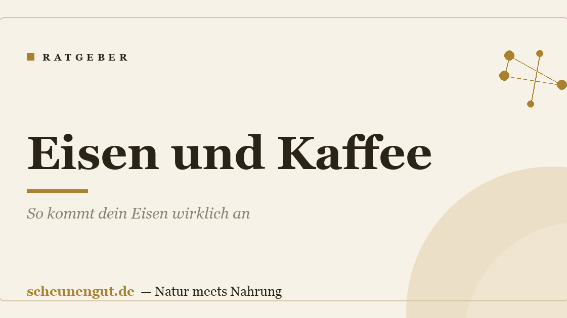 Eisen und Kaffee: So kommt dein Eisen wirklich an