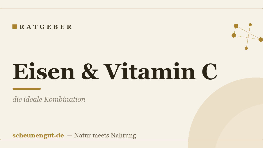 Eisen & Vitamin C: die ideale Kombination