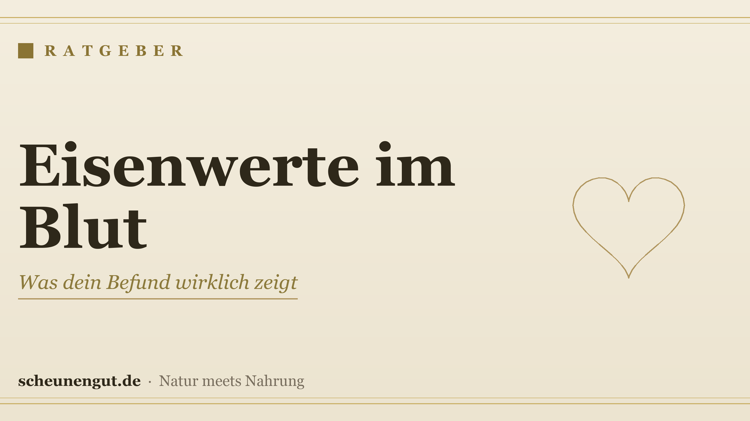 Eisenwerte im Blut: Was dein Befund wirklich zeigt