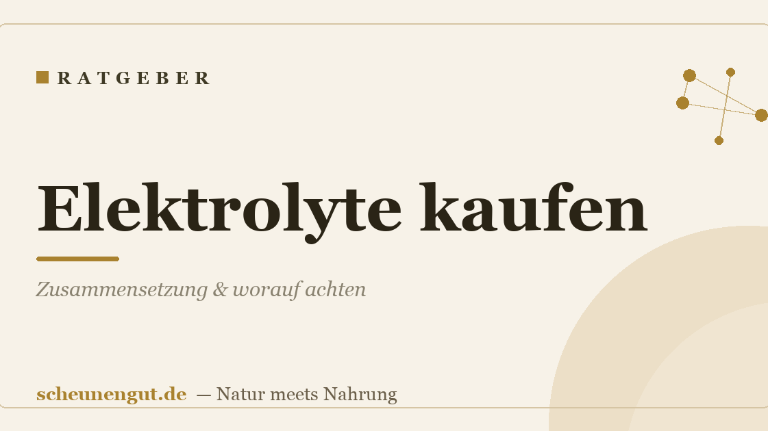 Elektrolyte kaufen: Zusammensetzung & worauf achten
