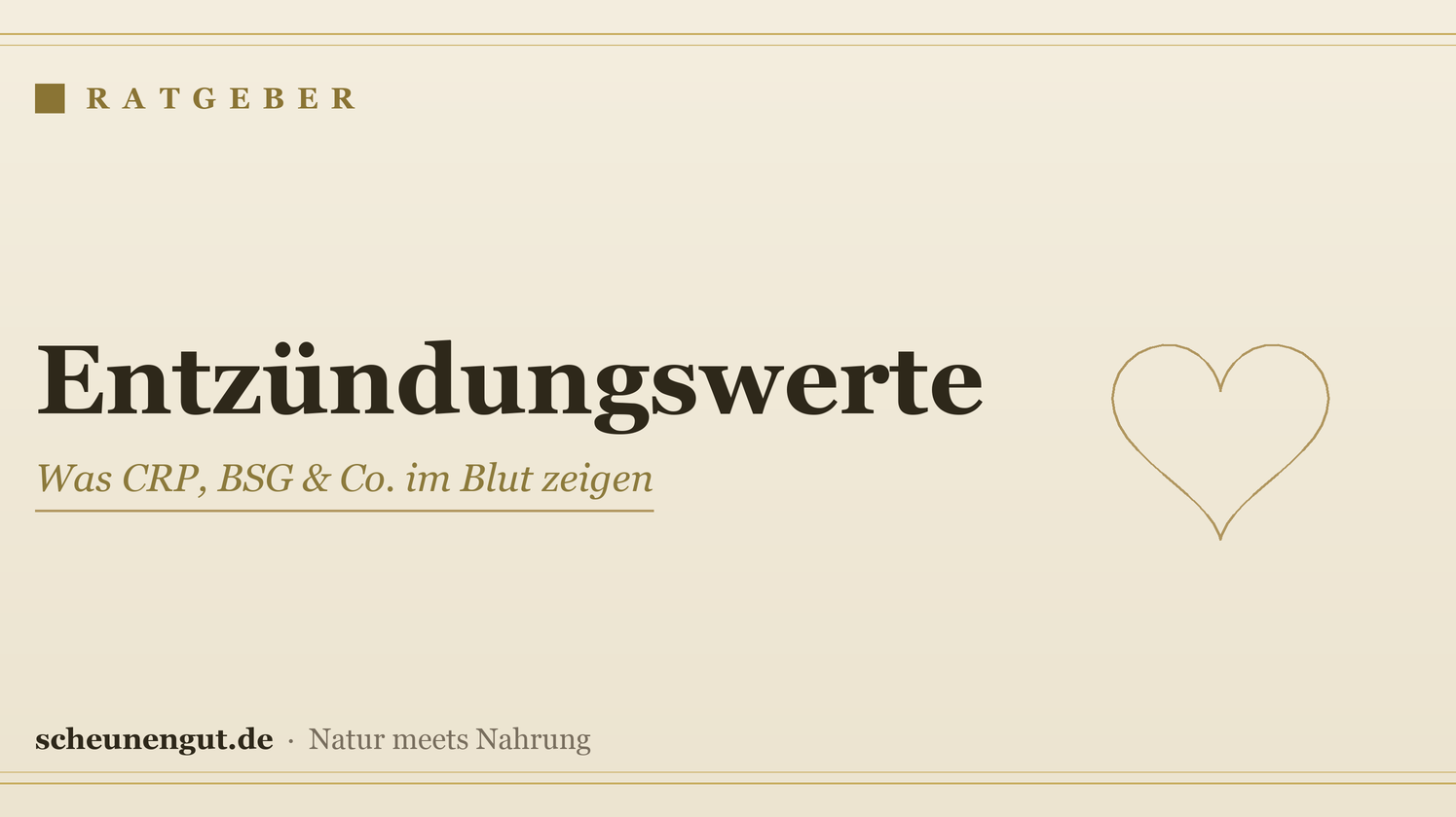 Entzündungswerte: Was CRP, BSG & Co. im Blut zeigen